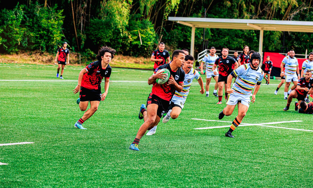 三条并行数据轨迹的抽象线条，靛紫底色上泛出荧光青的走向分叉